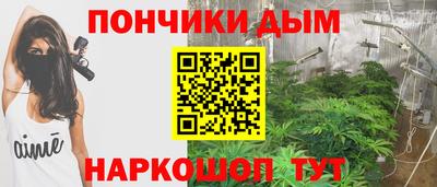 индика Ливны