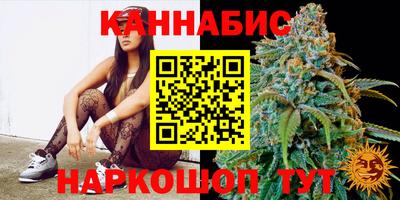 стафф Лесосибирск