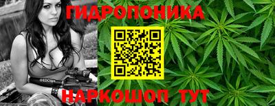стафф Лесосибирск