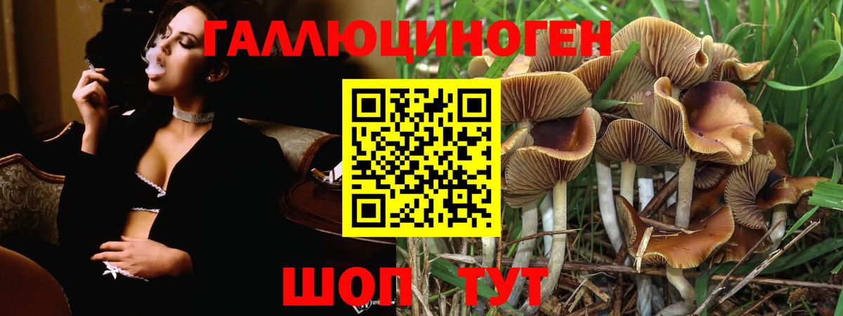 что такое   Галлюциногенные грибы Magic Shrooms  Вход с VPN  Гатчина 
